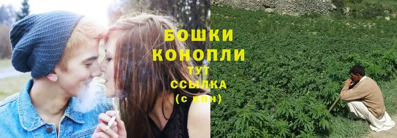 Бошки марихуана White Widow  закладки  Новосибирск 